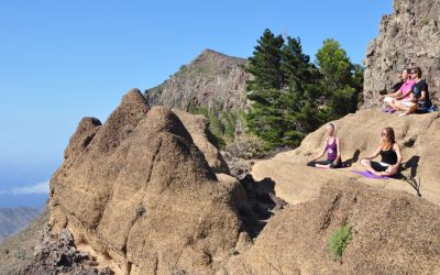 Back to the rocks – La Gomera im Frühling